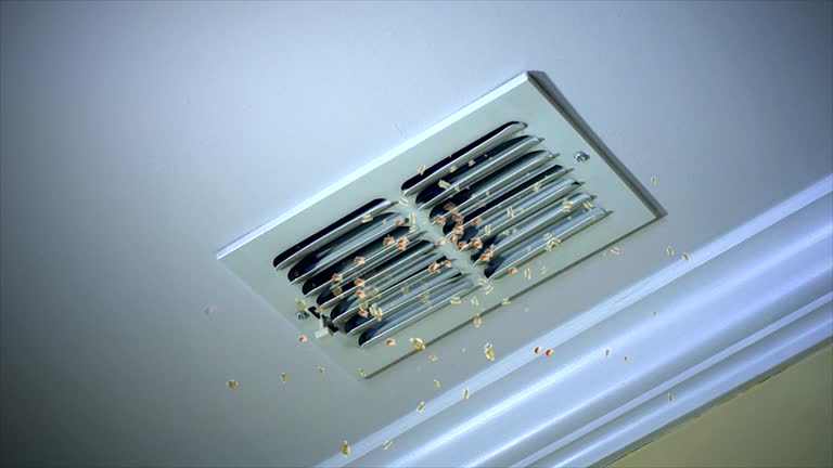 Best Affordable Duct Cleaning Services  in Inverness, IL