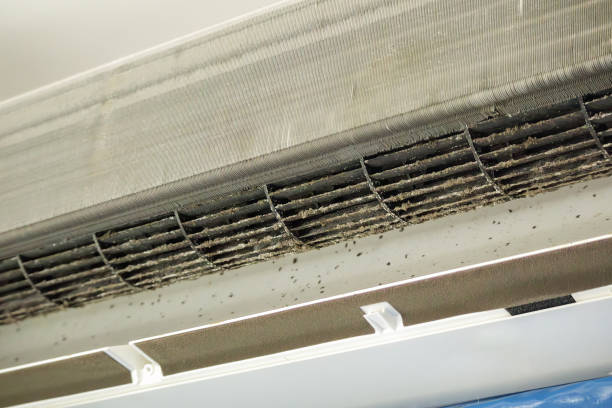 Best Local Air Duct Cleaning Services  in Inverness, IL